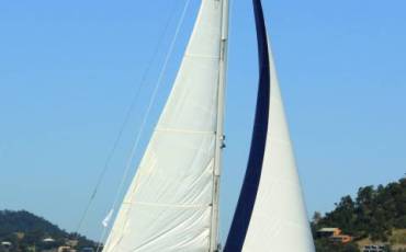 Catalina 350, WAZABI 