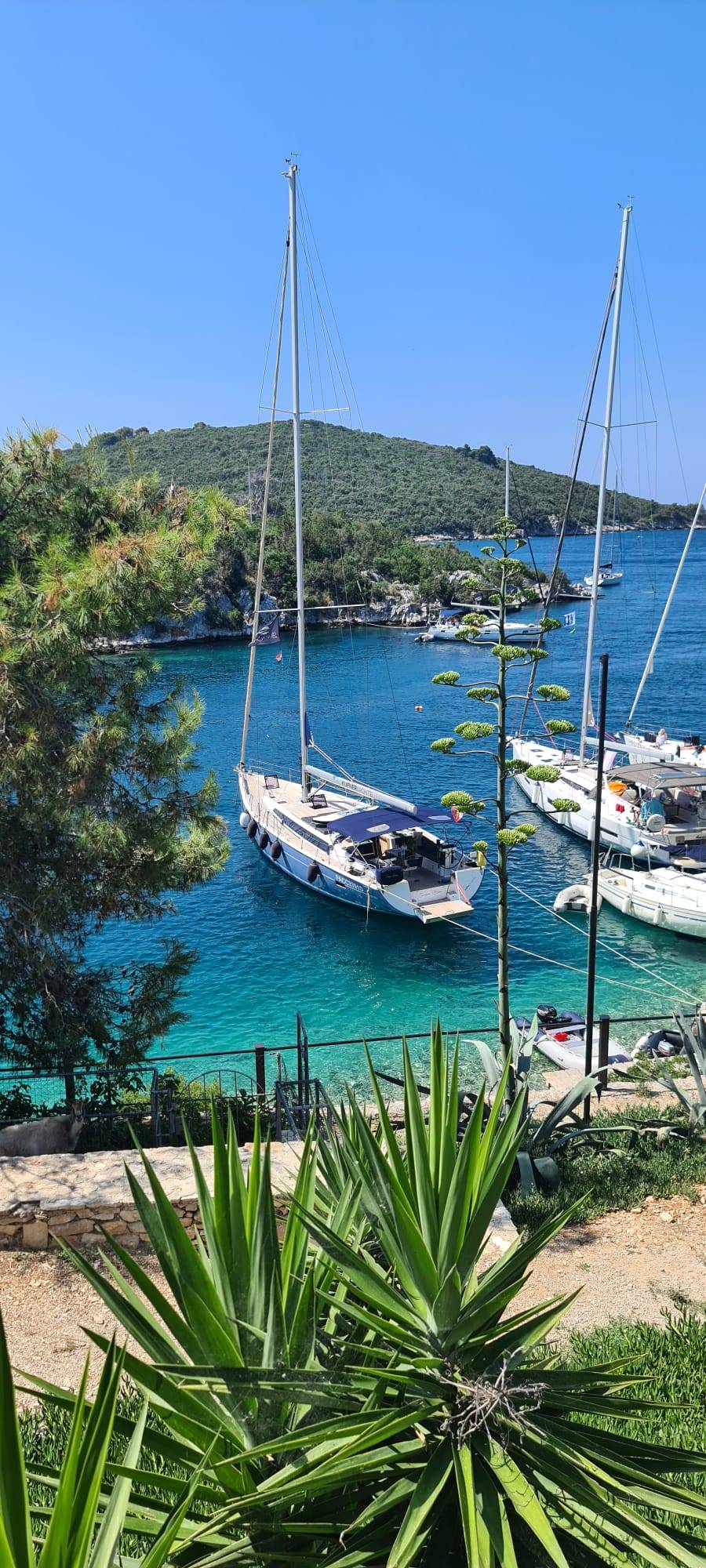 D&D Kufner 54 Sauvignon Blanc