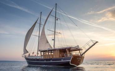 M/S Altair, Altair