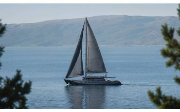 M/S Rara Avis, Rara Avis