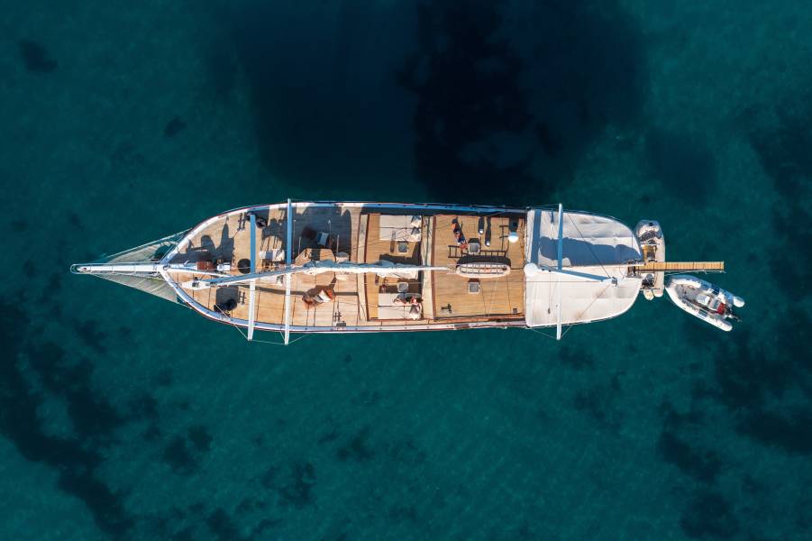 Summer Princess Summer Princess